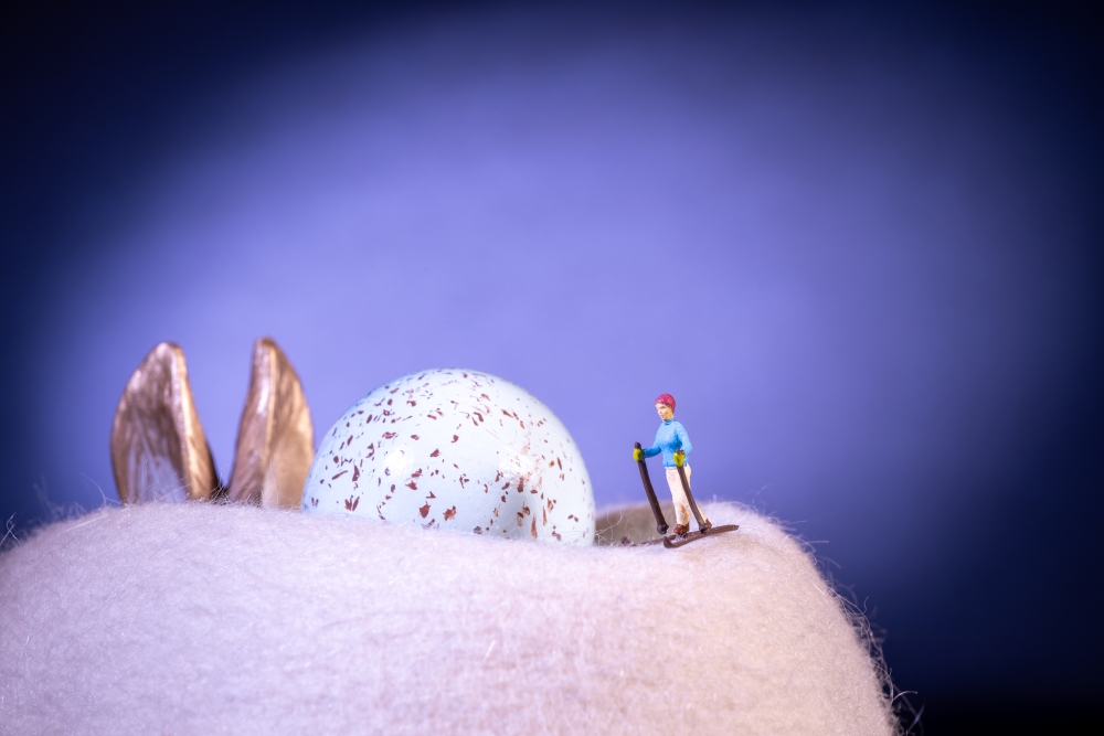 Skifahrer und Osterhase