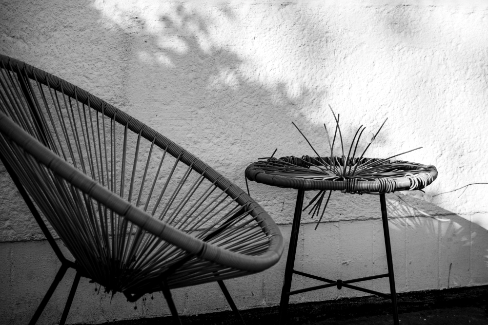 Bild Foto der Woche