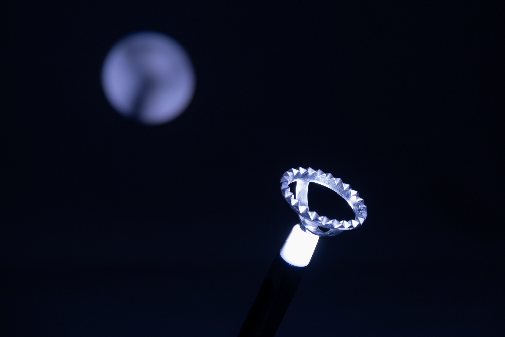 Bild K&uuml;chenkunst